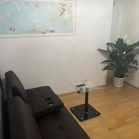 2 Zimmer Mit Bad Und Wc Teilen Apartamento Linz