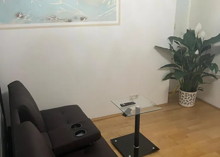 2 Zimmer Mit Bad Und Wc Teilen Lejlighed Linz